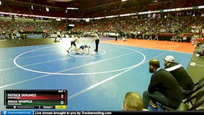 D1-113 lbs Champ. Round 1 - Patrick Skrundz, Burlington vs Brian Whipple, Mukwonago