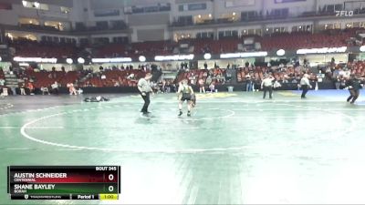 98 lbs Cons. Round 4 - Shane Bayley, Borah vs Austin Schneider, Centennial