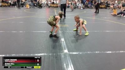 49 lbs Semifinal - Liam Crowe, Team Palmetto vs Evan Hill, Ohio Gold