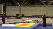 Kare Bear DeVilbiss - Double Mini Trampoline, Airbendes - 2021 USA Gymnastics Championships