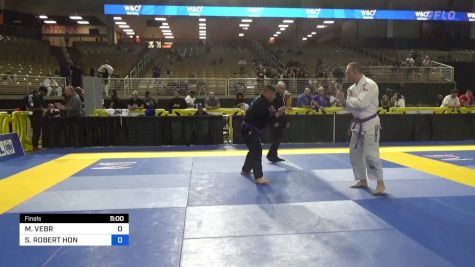 MICHAL VEBR vs STEPHEN ROBERT HON 2024 Pan Jiu Jitsu IBJJF Championship