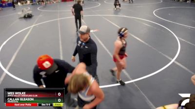 190 lbs Quarterfinal - Wes Wolke, Apple Valley Wrestling Club vs Callan Gleason, Minnesota