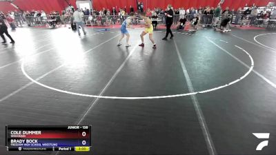 138 lbs Cons. Round 4 - Cole Dummer, Wisconsin vs Brady Bock, Freedom High School Wrestling