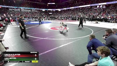 D1-120 lbs Semifinal - Liam Neitzel, Hudson vs Lincoln Flayter, Hartford Union