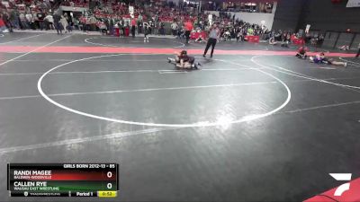 85 lbs Semifinal - Callen Rye, Wausau East Wrestling vs Randi Magee, Baldwin-Woodville