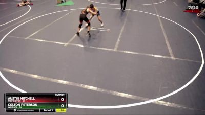 100 lbs Round 1 (4 Team) - Austin Mitchell, Farmington vs Colton Peterson, Wayzata