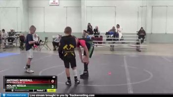 48 lbs Finals (2 Team) - Antonio Woodall, PA Alliance Blue vs Nolan Neglia, Nauman