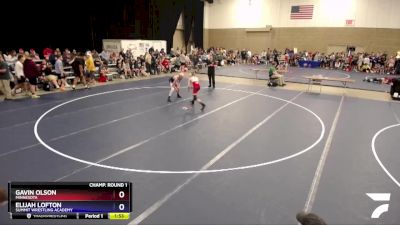 106 lbs Champ. Round 1 - Gavin Olson, Minnesota vs Elijah Lofton, Summit Wrestling Academy