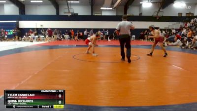 125 lbs Cons. Round 3 - Quinn Richards, Southern Virginia vs Tyler Candelari, Bridgewater State