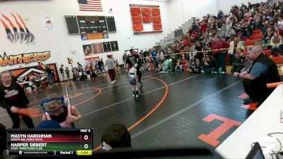 55-60 lbs Round 2 - Harper Siebert, Cody Wrestling Club vs Masyn Harshman, North Big Horn Rams