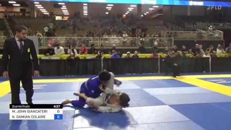 MICHAEL JOHN GIANCATERINO vs NESTOR DAMIAN COLAIRE 2024 Pan Jiu Jitsu IBJJF Championship