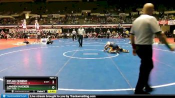141 lbs Finals (2 Team) - Dylan Cedeno, University Of Virginia vs Landen Hacker, Kent State