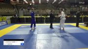 CONNOR T HARRIS vs COLTON RANDLE CARR 2024 Pan Jiu Jitsu IBJJF Championship