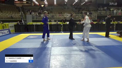 CONNOR T HARRIS vs COLTON RANDLE CARR 2024 Pan Jiu Jitsu IBJJF Championship