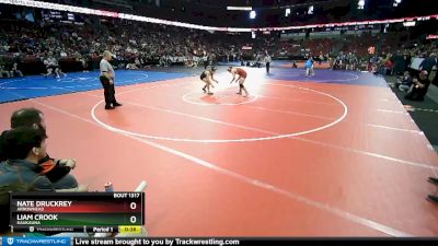 D1-160 lbs 5th Place Match - Nate Druckrey, Arrowhead vs Liam Crook, Kaukauna