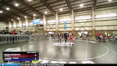 138 lbs Cons. Round 3 - Devin Grossman, Montana vs Gabriel Lemos, California