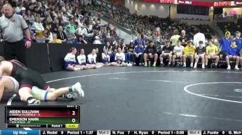 Replay: Mat 1 - 2023 Iowa HS Wrestling Dual Championship | Feb 4 @ 9 AM