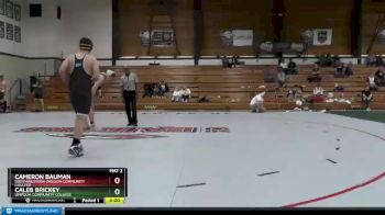 197 lbs 3rd Place Match - Caleb Brickey, Umpqua Community College vs Cameron Bauman, Southwestern Oregon Community College