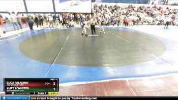 125 lbs Cons. Round 2 - Matt Schuster, Elmhurst College vs Luca Paladino, UW-Stevens Point