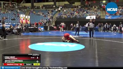 184 lbs Cons. Round 2 - Bryce Fitzpatrick, St. Cloud State vs Cole Gray, Western Colorado