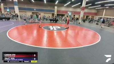 113 lbs Round 5 - Carson Ota, Spartan Mat Club vs Truitt Box, McChesney Grappling Academy