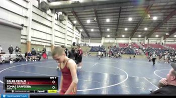 87 lbs Finals (2 Team) - Johnny Whitford, Westlake vs Casen Villastrigo, Crooks County