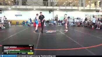136 lbs Round 1 (16 Team) - Brody Sendele, Illinois vs Christopher Hamm, Virginia