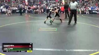 49 lbs Quarterfinals (8 Team) - Luke Clark, Clinton vs Chance Beal, Hudson