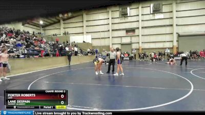 215 lbs Champ. Round 2 - Porter Roberts, Lehi vs Lane Despain, Summit Academy