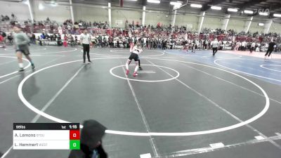 98 lbs Semifinal - Andrew Lemons, Stout Wr Ac vs Lincoln Hemmert, Western Colorado WC