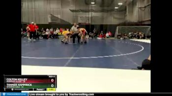 120 lbs Round 3 (6 Team) - Tanner Hammrick, Wyoming Gold vs Colton Kelley, Nebraska Silver
