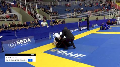 CLAUDIO GODOY vs WANDERSON ALEXANDER GUADACHOLI 2024 Brasileiro Jiu-Jitsu IBJJF