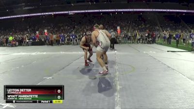 D2-215 lbs Cons. Round 2 - Leyton Detter, Allendale HS vs Wyatt Marentette, Huron HS - New Boston