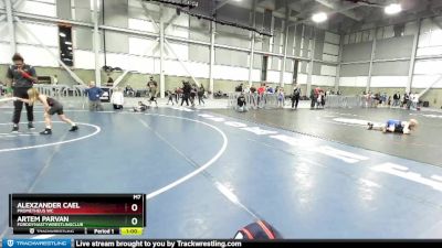 60-64 lbs Round 4 - Alexzander Cael, Prometheus WC vs Artem Parvan, FordDynastyWrestlingClub