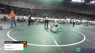 46 lbs Consi Of 8 #1 - Trace Adams, Davis Youth Wrestling Club vs Axel Bailey-Casey, Piedmont