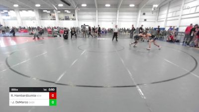 86 lbs Consolation - Robert Hambardzumian, New England Gold WC vs Jason DeMarco, Overcomer Training Center