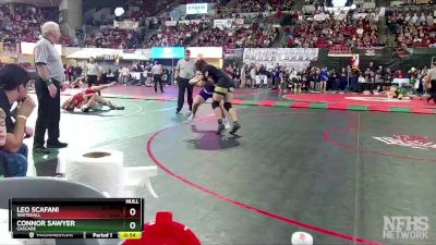 Semifinal - Leo Scafani, Whitehall vs Connor Sawyer, Cascade