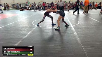 84 lbs Round 4 (6 Team) - Tanner Wisniewski, Rambler WC vs Cale Dauber, Ohio Gold 24K