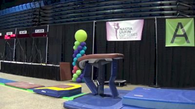 Gabbie Gallentine - Vault, Everest - 2020 Tampa Bay Turner's Invitational