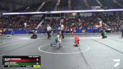 67 lbs Cons. Round 1 - Liam Richey, Wichita Blue Knights vs Blake Wederski, Colby