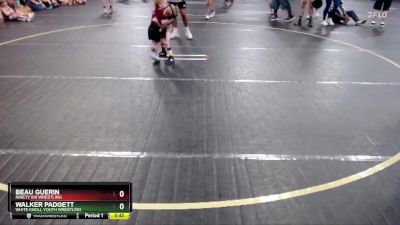 38 lbs Quarterfinal - Walker Padgett, White Knoll Youth Wrestling vs Beau Guerin, Ninety Six Wrestling