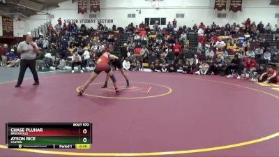 138 lbs Cons. Round 3 - Ayson Rice, Canton vs Chase Pluhar, Brecksville