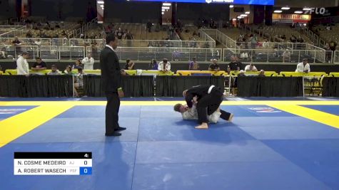 NYKOLLAS COSME MEDEIROS vs ALEX ROBERT WASECHEK 2024 Pan Jiu Jitsu IBJJF Championship