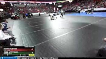 D1-170 lbs Cons. Round 1 - Reed Napiwocki, Wausau West vs Hunter Jibben, Oak Creek