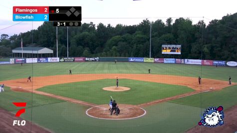 Replay: Flamingos vs Blowfish | Jun 24 @ 7 PM