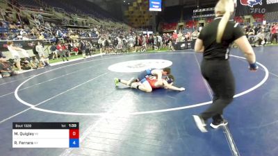 113 lbs Cons 64 #2 - Matthew Quigley, Michigan vs Ryan Ferrara, New York