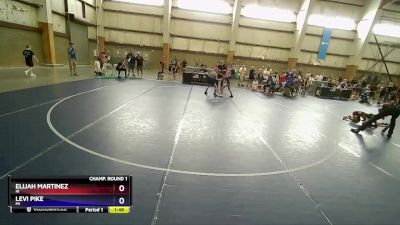 67 lbs Champ. Round 1 - Elijah Martinez, HI vs Levi Pike, MI