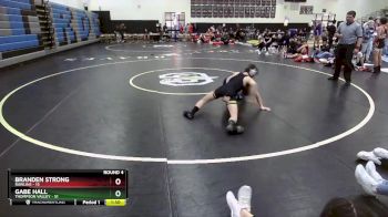 113 lbs Round 4 (10 Team) - Gabe Hall, Thompson Valley vs Branden Strong, Rawlins
