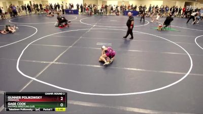 102 lbs Champ. Round 2 - Gage Cook, Hastings Wrestling Club vs Gunner Polikowsky, Minnesota