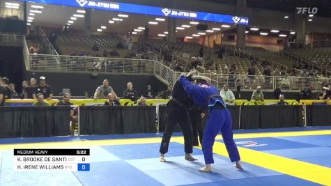 KELSEY BROOKE DE SANTIS vs HEATHER IRENE WILLIAMS 2024 Pan Jiu Jitsu IBJJF Championship